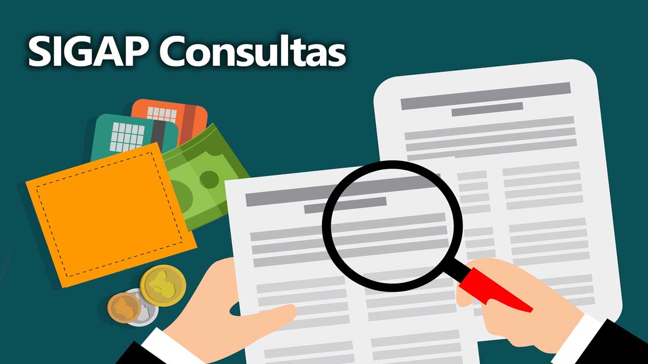 SIGAP Consultas